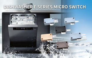 E Series micro switch