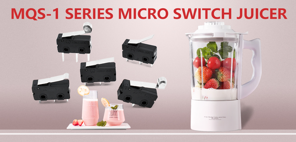 MQS-1 Series micro switch