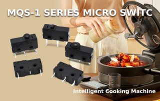 MQS -1 series micro switch