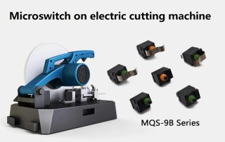 MQS-9B Series microswitch