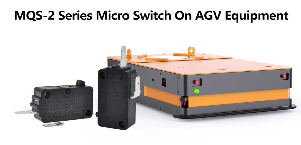 MQS-2 Series Micro Switch