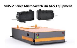 MQS-2 Series Micro Switch