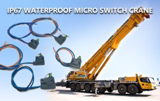 Waterproof Micro Switch