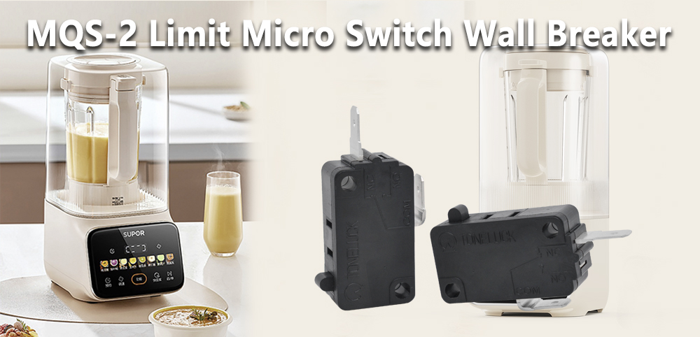 MQS-2 Limit Micro Switch