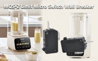 MQS-2 Limit Micro Switch