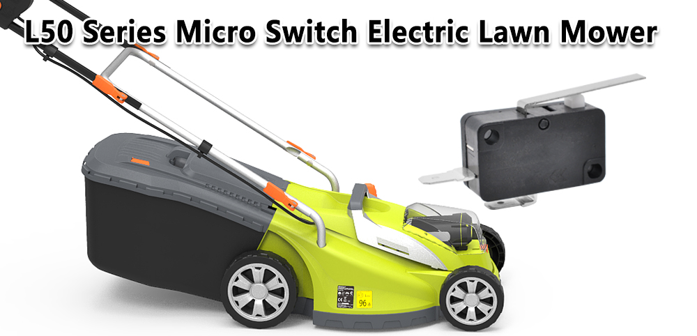 L50 Series Micro Switch