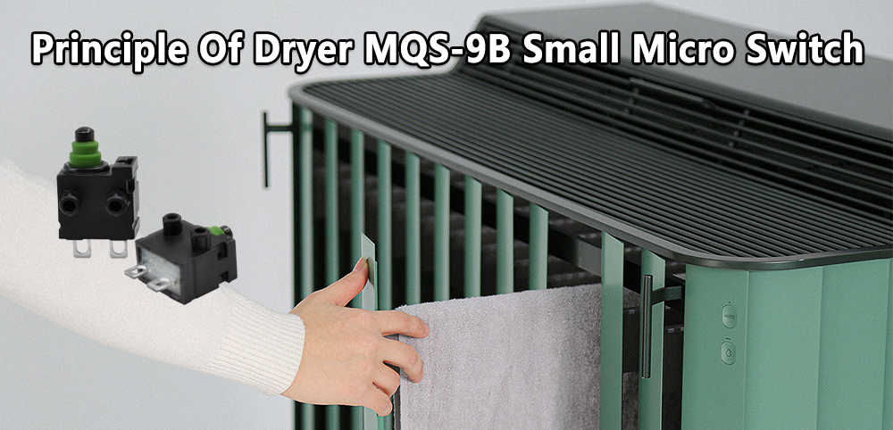 MQS-9B Small Micro Switch