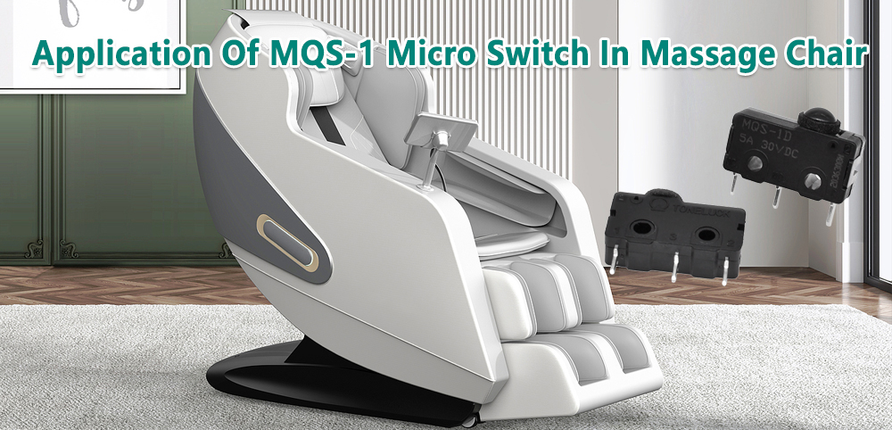 MQS-1 Micro Switch