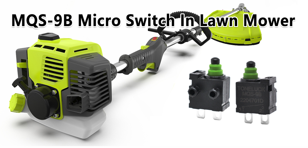 MQS-9B Micro Switch