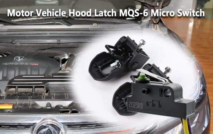 MQS-6 Micro Switch