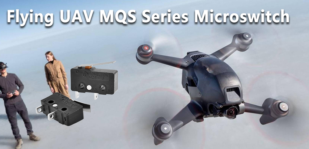 MQS Series Microswitch