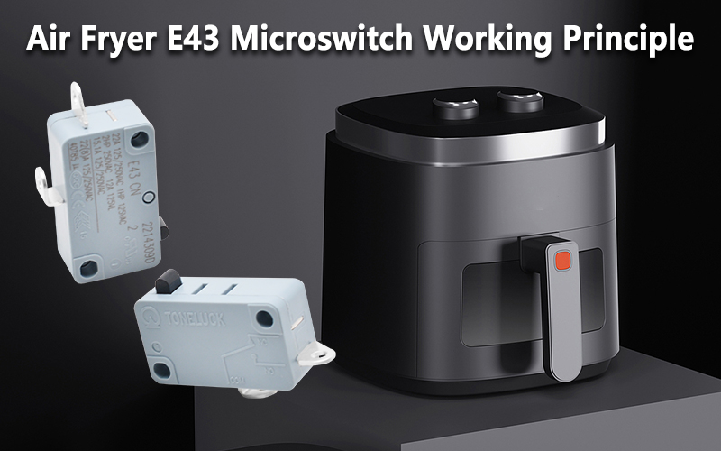 E43 Microswitch